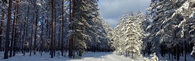 Tartu Maratoni korraldamise hetkeseisust