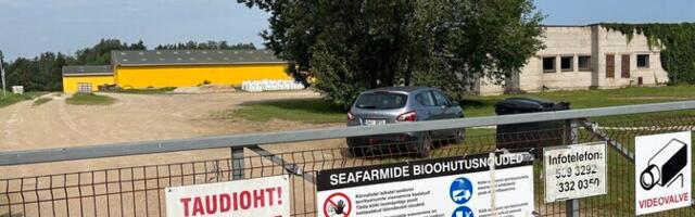 Nurme farmi tabas vaatamata kõikide ohutusnõuete täitmisele ikkagi seakatk