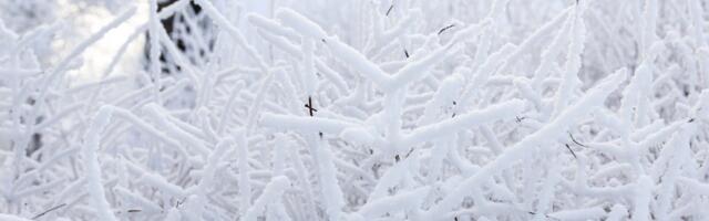 ILMATEADE | Pakast jätkub veel mõneks päevaks