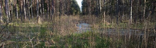 Saarde vald muutis seisukohta ja soostamistööd Kikeperas saavad jätkuda