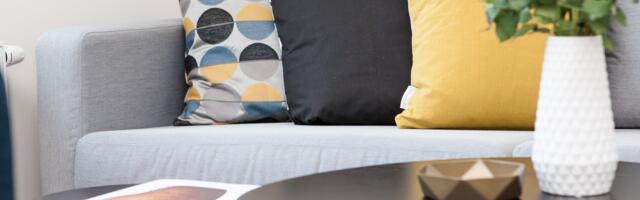 Diivanid – kõik alates sellest kuidas valida kuni puhastuseni välja