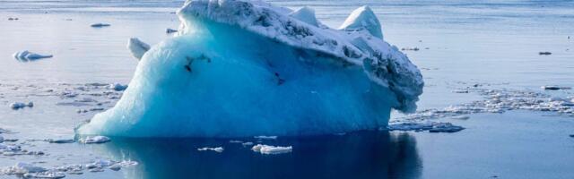 Merejää sulab rekordilise kiirusega_ teadlased tegid kokkuvõtte soojast 2024/25 talvest