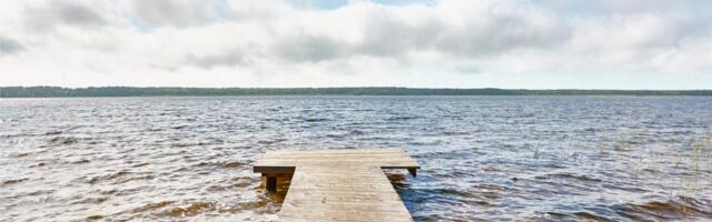 Sinivetikas pole kuhugi kadunud: terviseamet ei soovita endiselt Harku järves ujuda