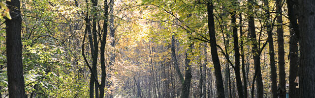 2026. aasta maamaksu personaalne prognoosikuva on avatud: vaata, kui palju pead maksu tasuma