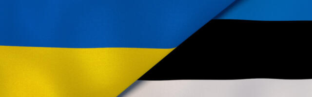 Raport: Kuidas jaotub Ukraina sõjapõgenikega kaasnev koormus omavalitsuste vahel?