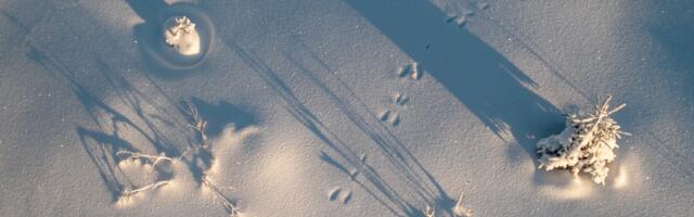 Jahinduskoolitaja tegi harivad testid