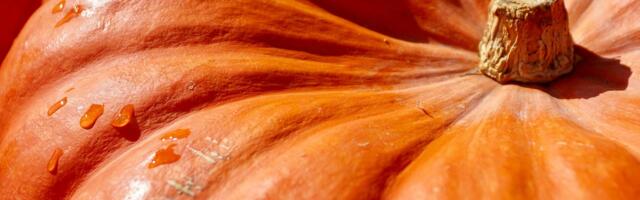 Omniva abiga jõudis koolidest ja lasteaedadest loomaaeda ligi 4 tonni köögivilju