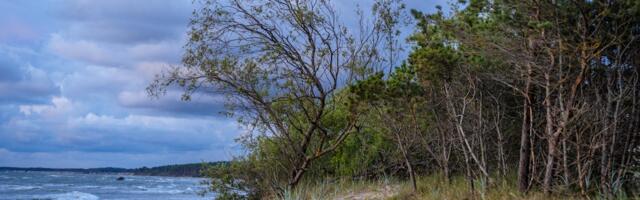 Keskkonnaagentuur: lähipäevade ilm tuleb tuuline ja vihmahoogudega