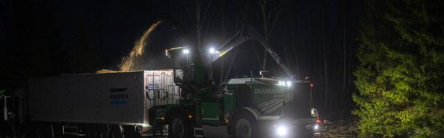 PUIDUTURG | Hinnad langesid veelgi