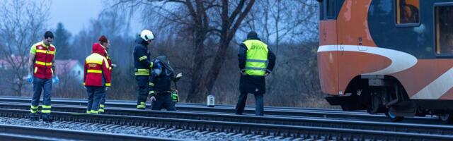 Sulev Vedler: inimene sai surma. Mulle anti magus batoonike