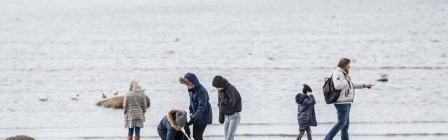 GRAAFIK | Eesti on üks karmimaid maksustajaid. Vaata, kus Euroopas lastega peresid kõige vähem maksustatakse