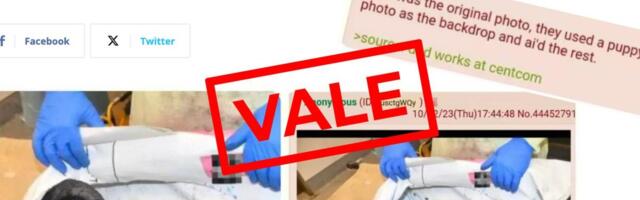 FAKTIKONTROLL | Ei, Netanyahu postitatud foto surnud lapsest ei olnud algselt kutsikapilt