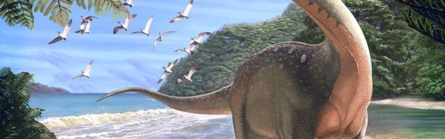 „Tibukesed põrgust“: teadlased on avastanud uue dinosauruseliigi