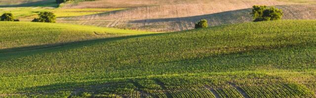 Maatoimingud muutuvad lihtsamaks