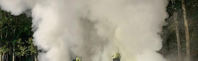 Elva vallas hävis tulekahjus küttepuude kuur