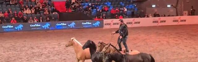 VIDEO | Kas üks ratsanik suudab korraga mitme hobusega ratsutada? Prantslane tõestas, et see on võimalik