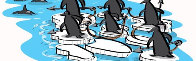 Kanadat järgides: Eestil on aeg suureks saada