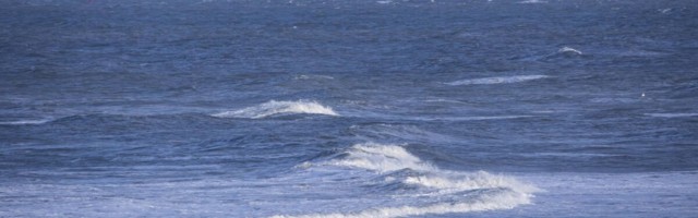 Eesti Energia meretuulepargi partneriks tuleb Ørsted