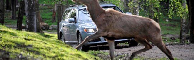 Autoomaniku ABC: juhiabisüsteemid, millest tõesti ka kasu on