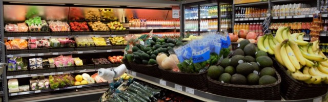 Rimi ja Wolt alustavad koostööd, et viia klientidele toidukaup kohale 30 minutiga