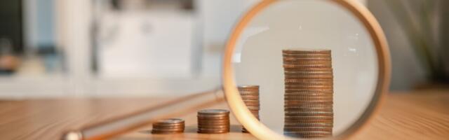 Kes on valdkonna parimad palgamaksjad?