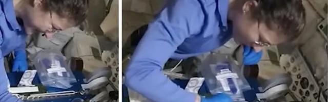 Pikemal reisil abiks: kui DNA kosmoses katki läheb, on kasu geenikääridest