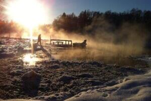 Juua või mitte juua? Allikast