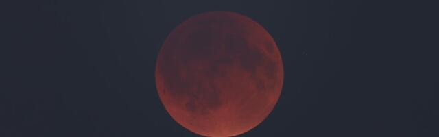 FOTO | Öötaevas näeb kuuvarjutust