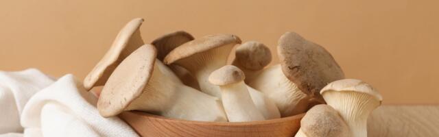 Ettevaatust, mürgised teisikud! 4 seenepaari, mida metsas mitte segi ajada