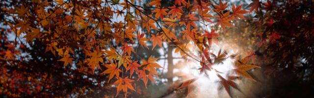 Oktoober oli keskmisest kuivem, soojem ja päikesepaistelisem