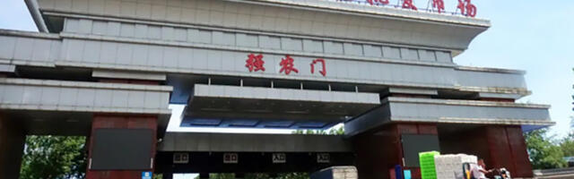 Saksamaal elav hiina kunstnik külastas üle 10 aasta Hiinat ja oli üllatunud: Hiina on vabam kui Saksamaa