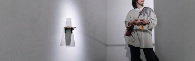 Pildid: Draakoni galeriis avati Riin Maide näitus "Ääremärkuste arhitektuur"