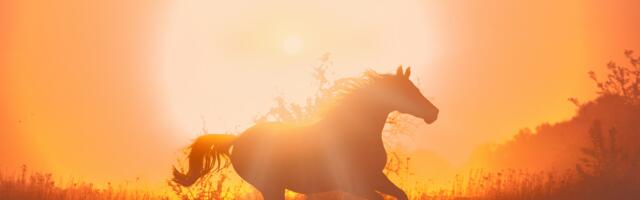 Tulihobuse aasta 2026: 5 viga, mis võivad su plaanid rikkuda