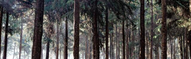 Algatati Malluste looduskaitseala moodustamise ja kaitse-eeskirja kehtestamise menetlus