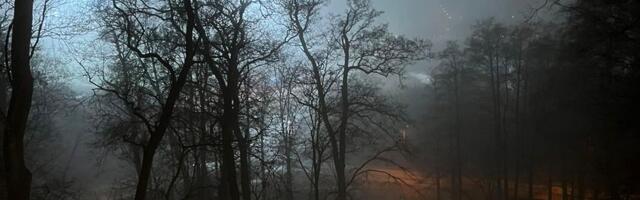 Siiri Saarna NÄDALA FOTO