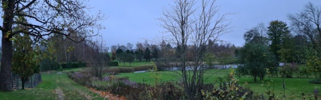 Chris Kala vlogi #23: Järjepidevus