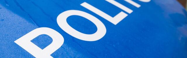 Politsei pidas kinni kaks kelmi, kes tekitasid inimestele kahju üle 80 000 euro