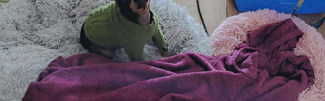 Soome naise kodus on vaid 8 kraadi sooja – kelleltki abi ei saa