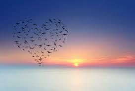 29 maaliskuuta syntyneen henkilön luonne