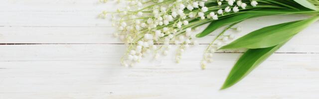 Maikuu horoskoop: täiskuu toob tõehetked ja noorkuu avab uued võimalused