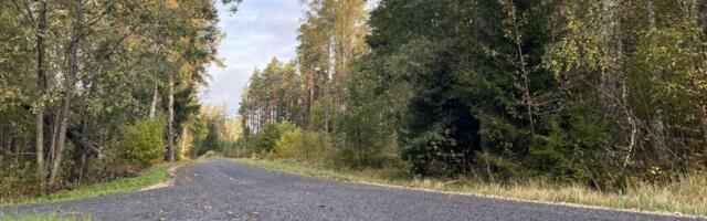 SÜÜDISTATAKSE KORRUPTSIOONIS | Aivar Viidik pöördus korruptsioonikahtlusega politseisse