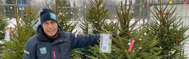 Jõulupuu ostmine iseteenindusest kogub järjest enam populaarsust
