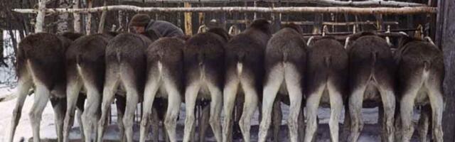 Ääremärkusi teaduse vahelt – Suured küsimused ja hapupiim