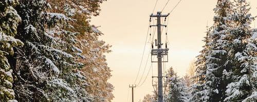 Elektrilevi hoiatab: lumetorm võib tuua nädalavahetusel ulatuslikke elektrikatkestusi!