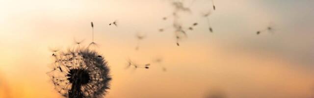 Character of a person born on March 28