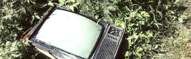 MINA ELASIN SIIN ⟩ Tõdu. Tü*a-Toomas ja sigasuur värviteler