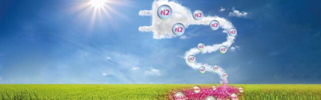 Looduslik toode, mis aitab taimedel õhust lämmastikku omastada