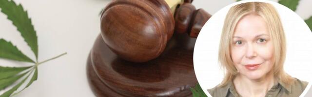 Teadlane: tarbimise kasv, vaimse tervise probleemid, riskid liikluses ja tööelus - kanepi legaliseerimisel on tõsised tagajärjed