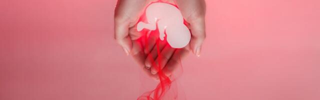 Raseduste katkestamiste arv Eestis väheneb sarnaselt Põhjamaadele