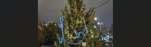 FOTO | Tallinna koledaim jõulupuu? Lohakalt ehitud kuusk tõi kaasa elanike pahameele